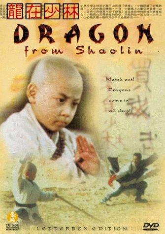 Dragon From Shaolin movie poster