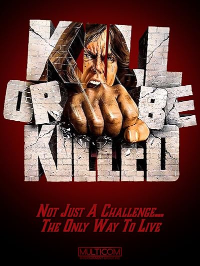 Karate Killer movie poster