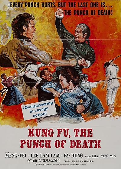 Kung Fu the Punch of Death movie poster