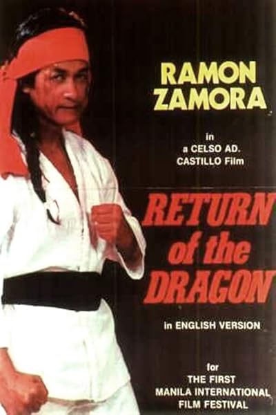 Return of the Dragon AKA Way of the Dragon movie poster